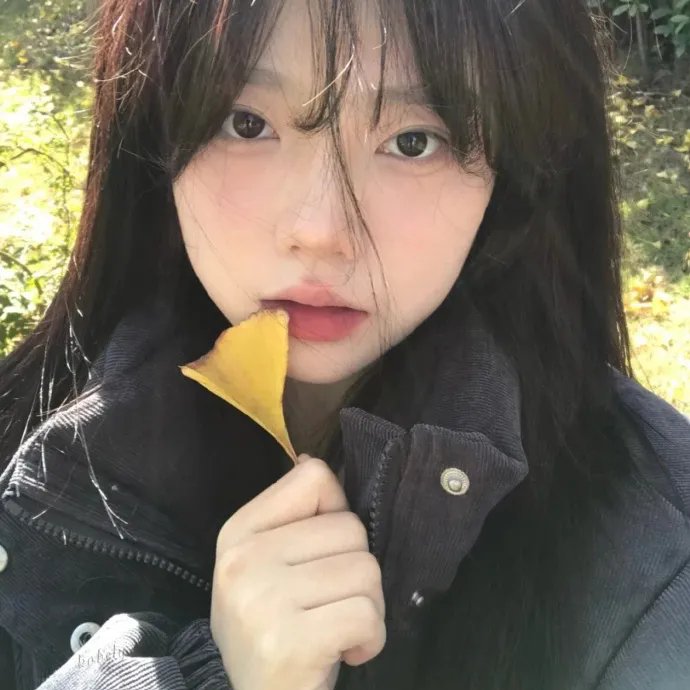 禁宫十二钗